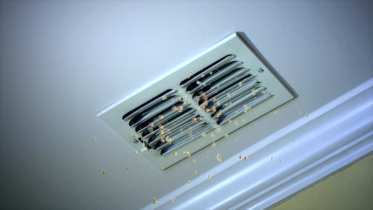 Best Home Air Vent Cleaning  in Port Vue, PA