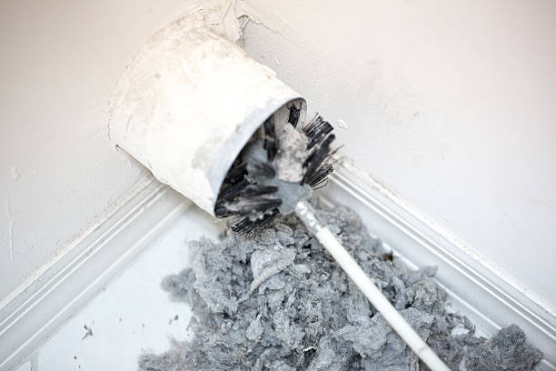 Best Dryer Vent Cleaning Services  in Port Vue, PA